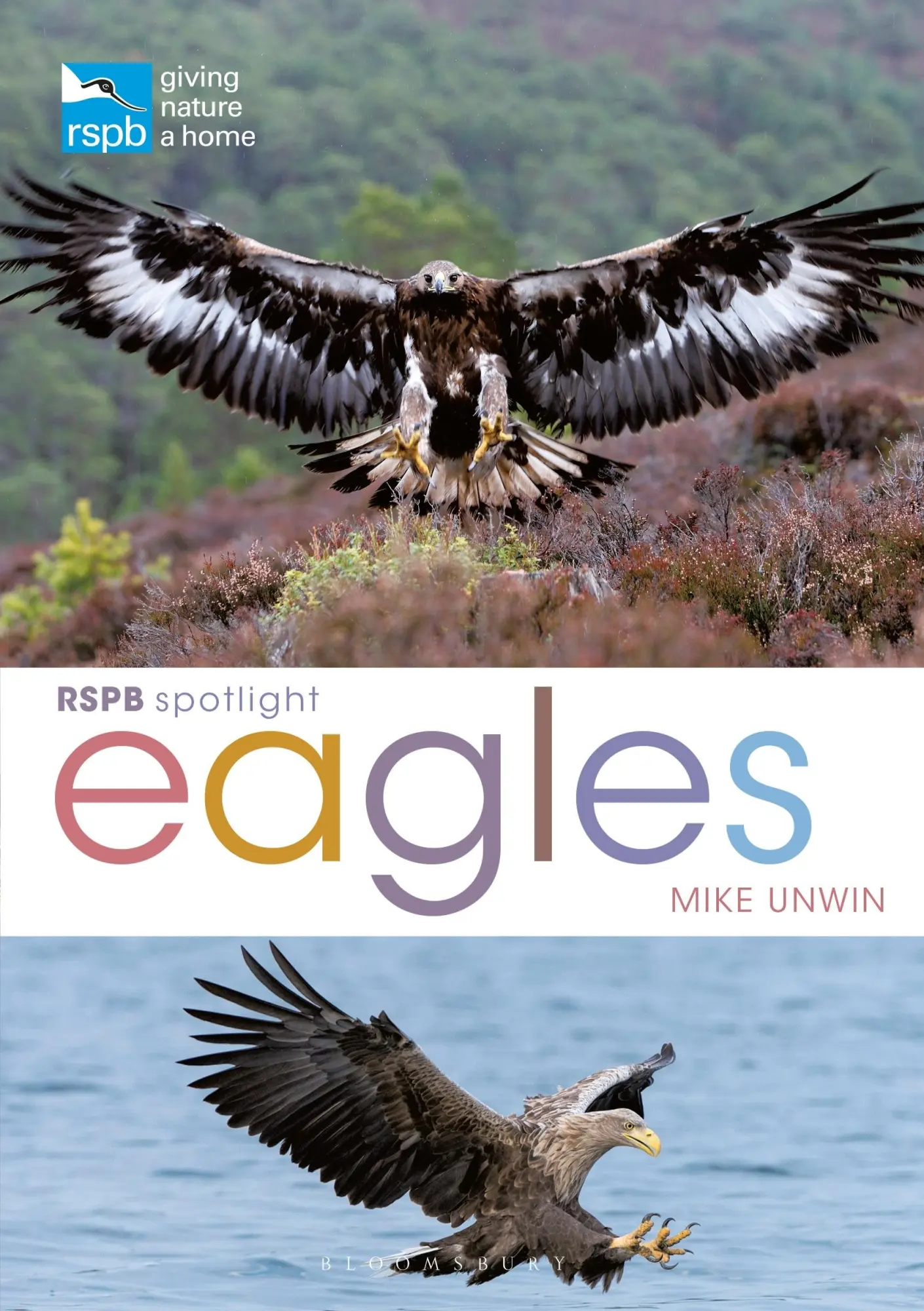 Cover: 9781399402156 | RSPB Spotlight: Eagles | Mike Unwin | Taschenbuch | Englisch | 2021