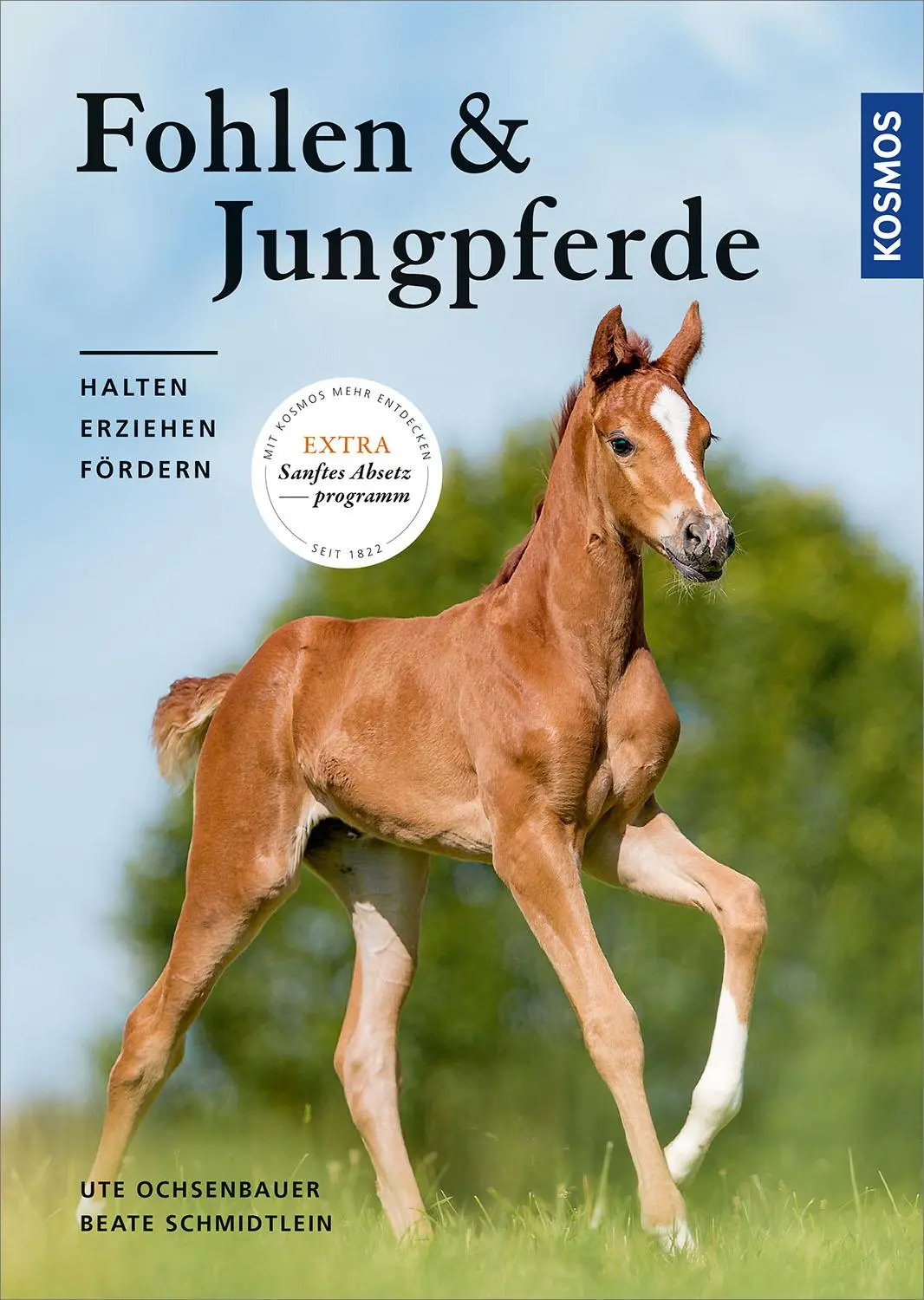 Cover: 9783440162156 | Fohlen und Jungpferde | halten, erziehen, fördern | Buch | 160 S.