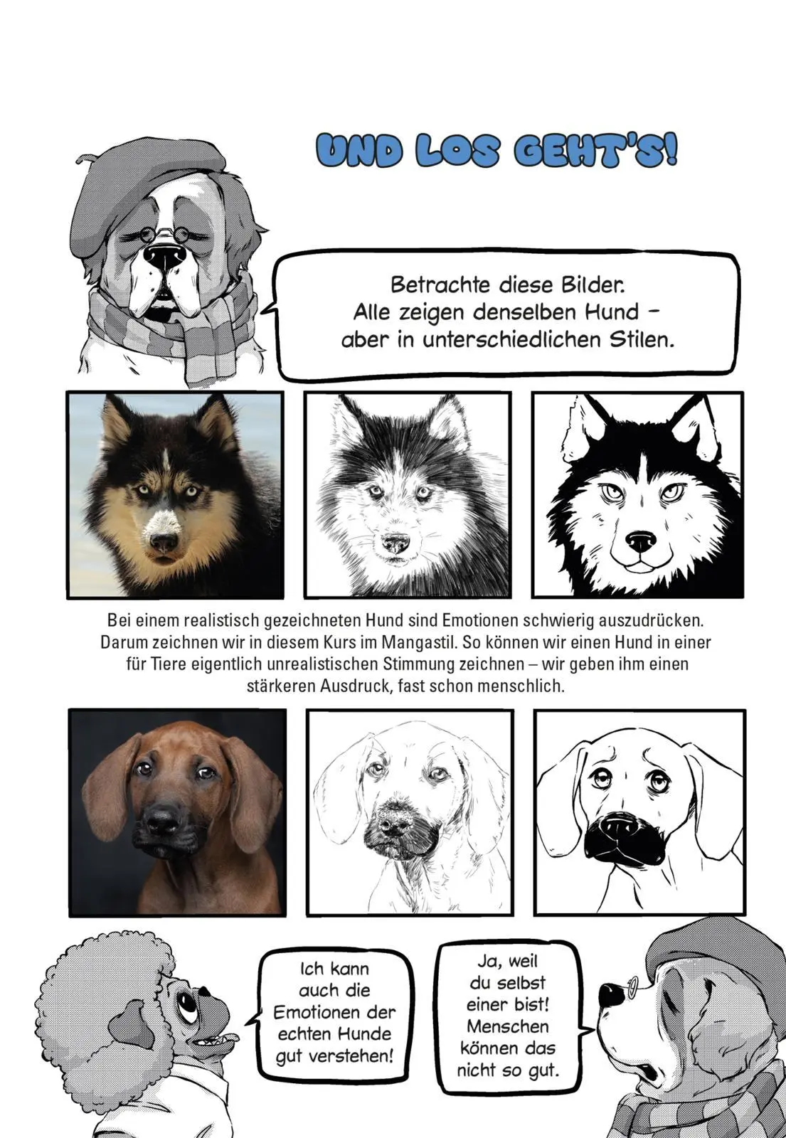 Bild: 9783551802156 | Olschis Zeichenkurs: Superhunde! | Olschi | Taschenbuch | 96 S. | 2024