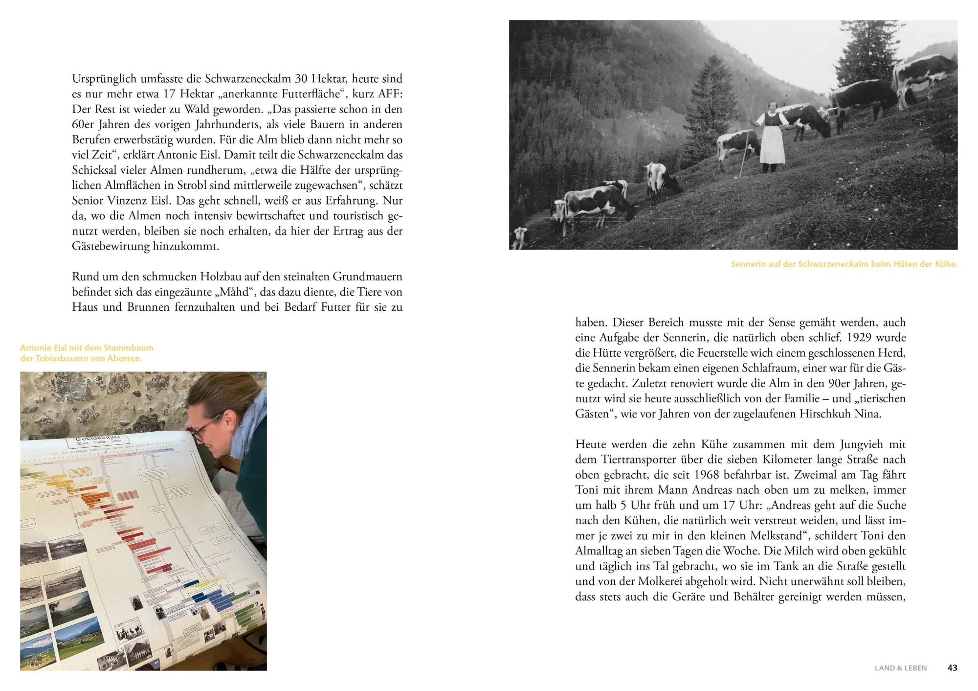 Bild: 9783702512156 | Salzburger Bauern- und Bäuerinnenkalender 2027 | Beatrix Binder | Buch