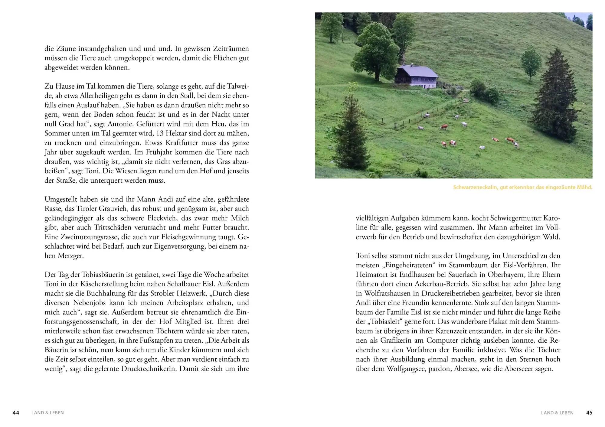 Bild: 9783702512156 | Salzburger Bauern- und Bäuerinnenkalender 2027 | Beatrix Binder | Buch