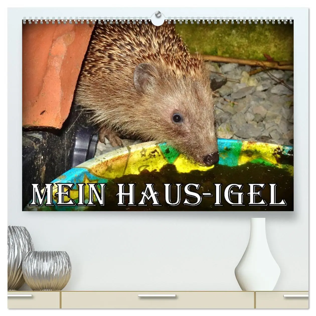 Cover: 9783457392256 | Mein Haus-Igel (hochwertiger Premium Wandkalender 2026 DIN A2...
