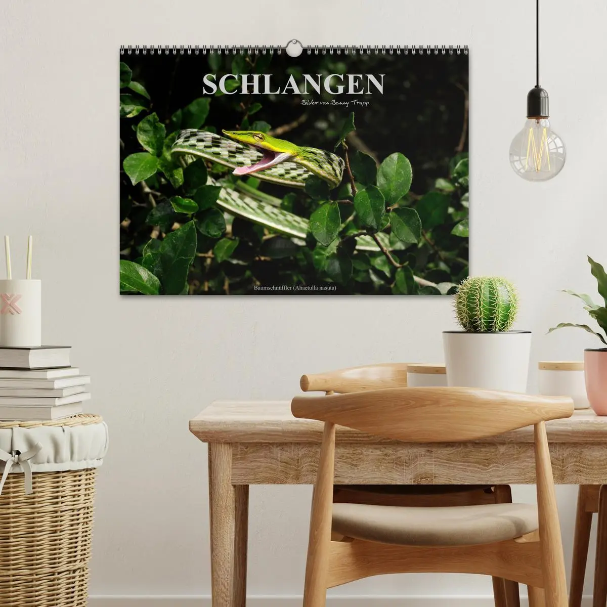 Bild: 9783516172256 | Schlangen (Wandkalender 2026 DIN A3 quer), CALVENDO Monatskalender