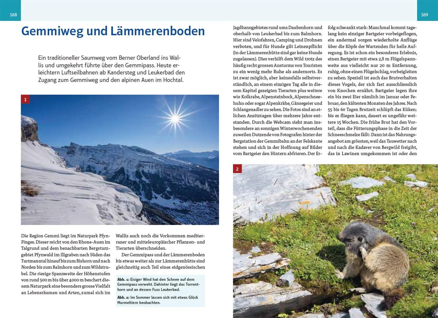 Bild: 9783258082356 | An wilden Wassern und stillen Ufern | Eric A. Soder | Taschenbuch