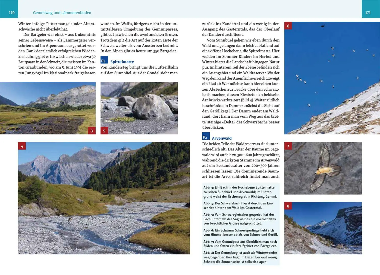 Bild: 9783258082356 | An wilden Wassern und stillen Ufern | Eric A. Soder | Taschenbuch