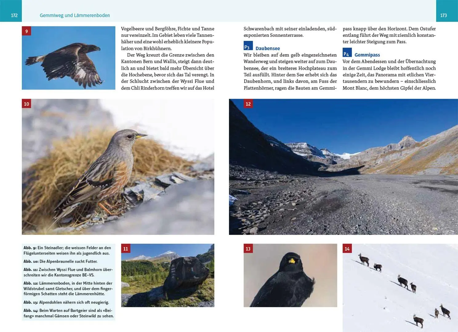 Bild: 9783258082356 | An wilden Wassern und stillen Ufern | Eric A. Soder | Taschenbuch