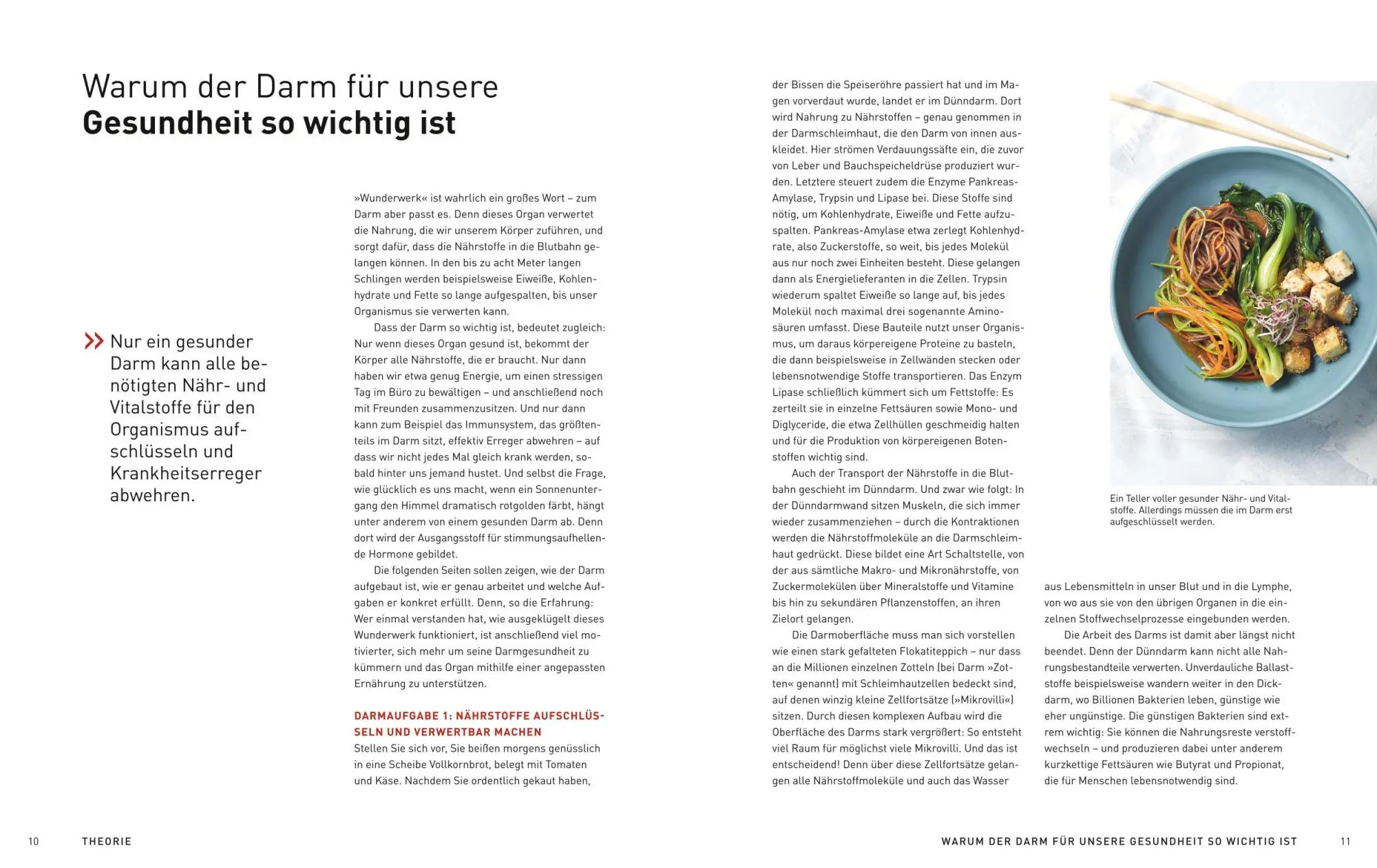 Bild: 9783833892356 | Medical Cuisine - Gesunder Darm | Johann Lafer (u. a.) | Buch | 264 S.