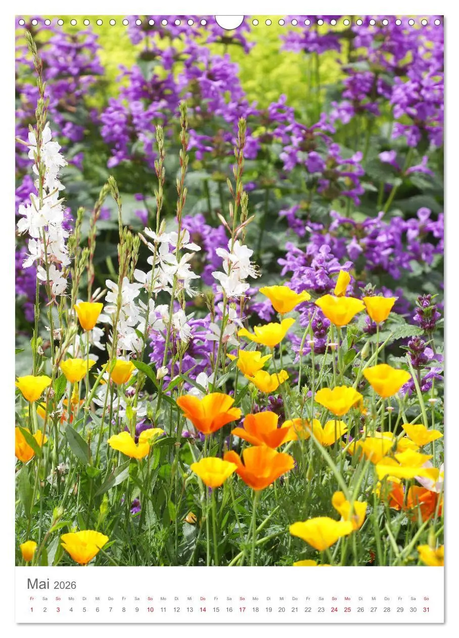 Bild: 9783516392456 | Bunter Sommer (Wandkalender 2026 DIN A3 hoch), CALVENDO Monatskalender