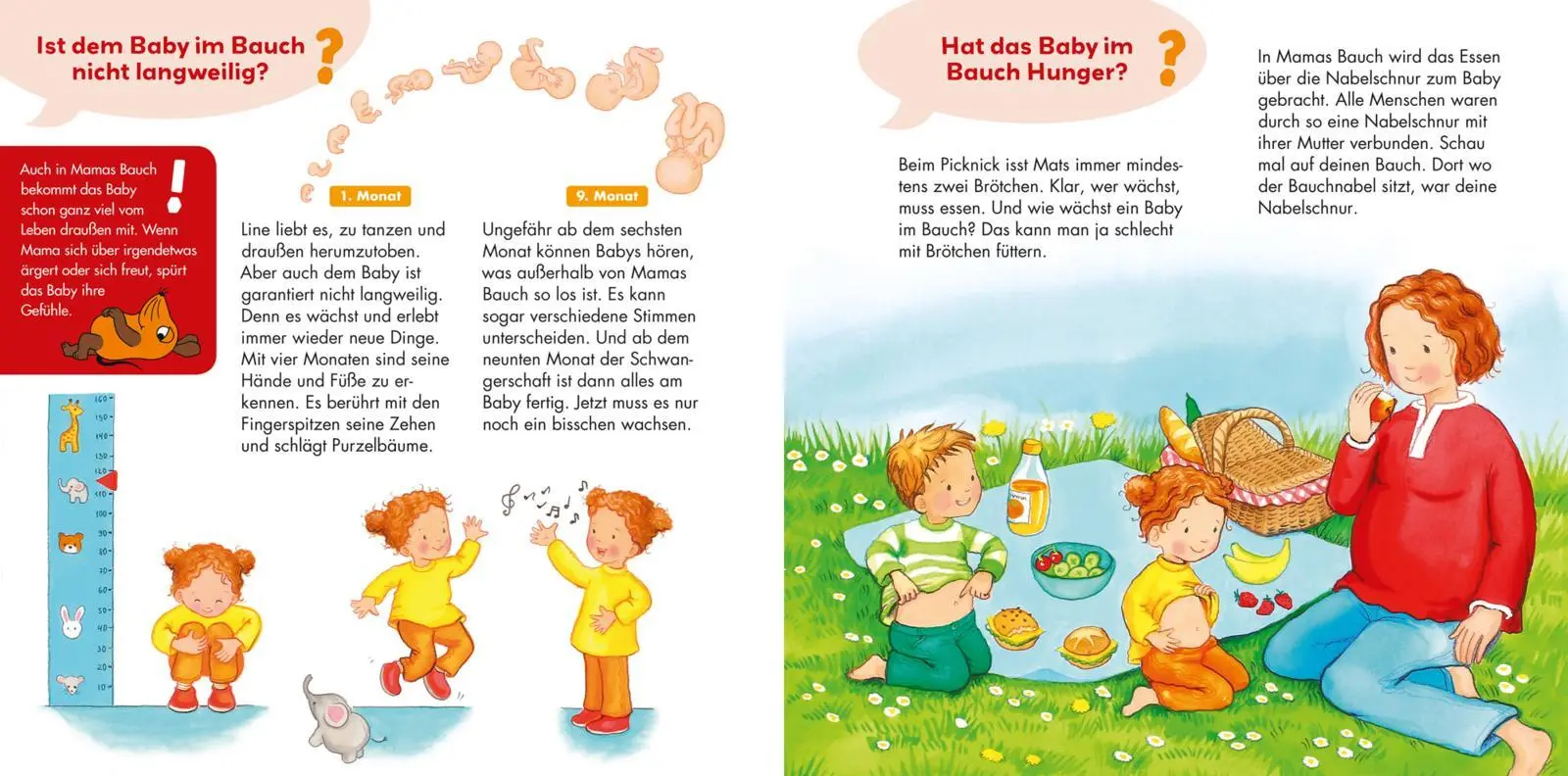 Bild: 9783551252456 | Frag doch mal ... die Maus: Wir bekommen ein Baby | Petra Klose | Buch