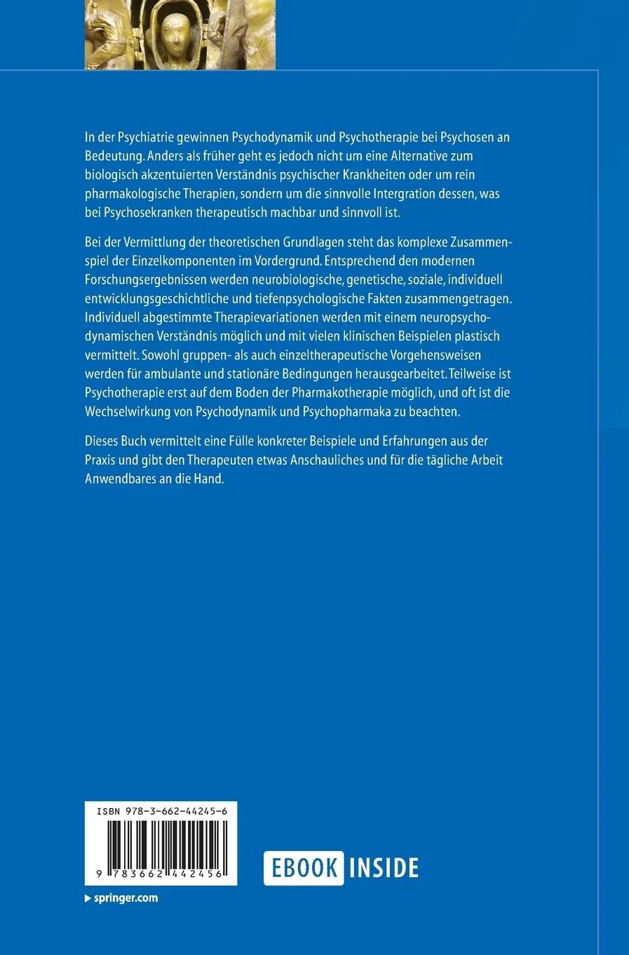 Rückseite: 9783662442456 | Psychotherapie bei Psychosen | Peter Hartwich (u. a.) | Buch | xv