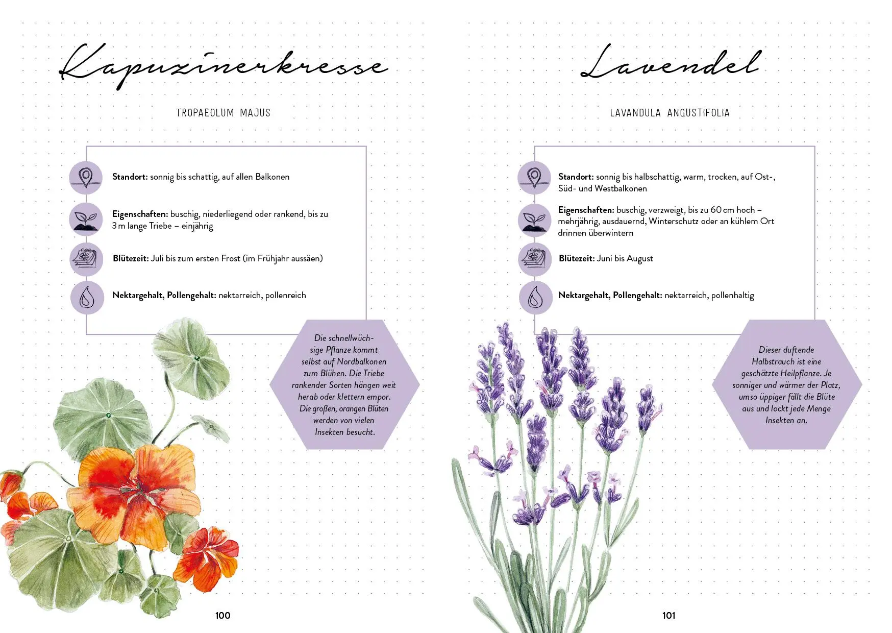 Bild: 9783745912456 | Mein Bienengarten - Das illustrierte Gartenbuch | Bärbel Oftring