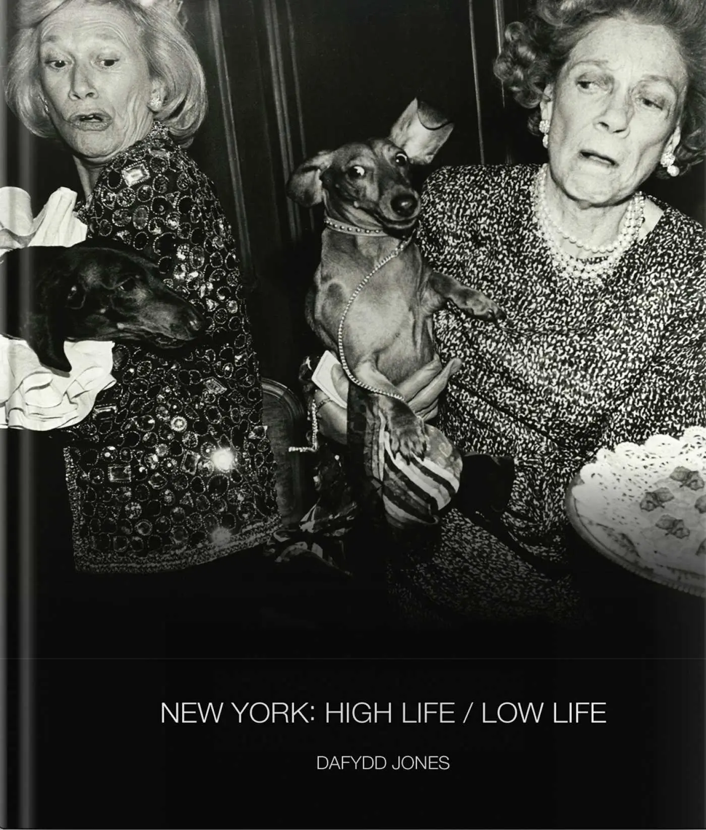 Cover: 9781788842556 | New York: High Life / Low Life | Dafydd Jones | Buch | 120 S. | 2024