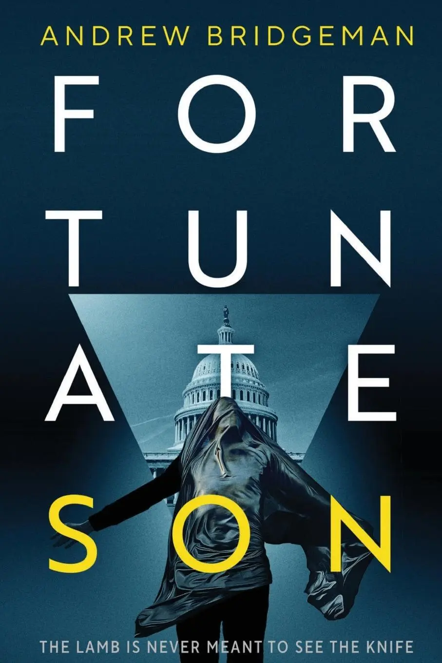 Cover: 9781961302556 | Fortunate Son | A Suspenseful Psychological Thriller | Bridgeman