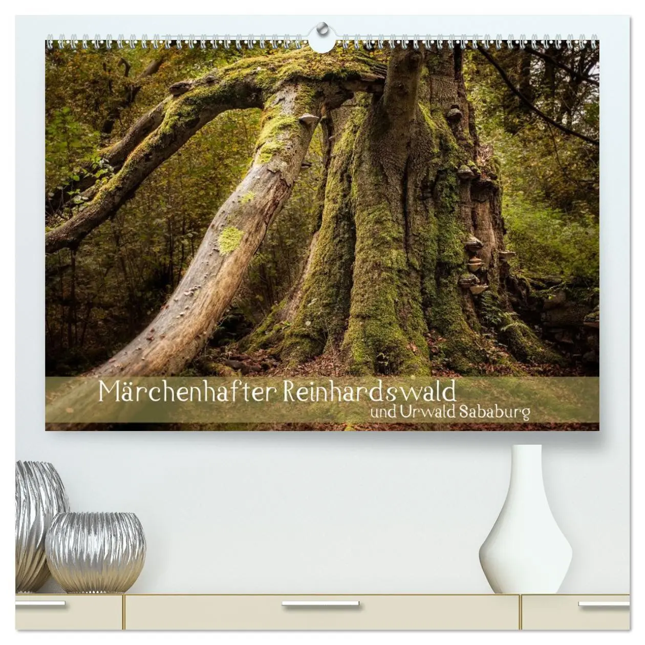Cover: 9783516072556 | Märchenhafter Reinhardswald und Urwald Sababurg (hochwertiger...