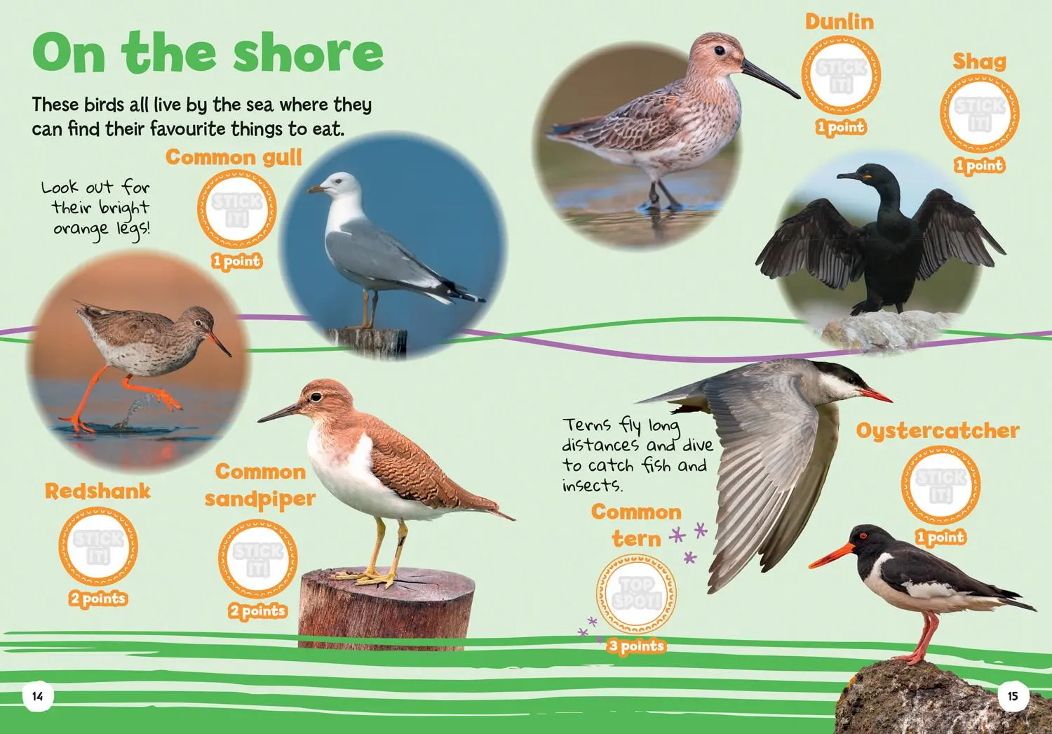 Bild: 9780008562656 | I-Spy My First Birds | Spy It! Stick It! | I-Spy | Taschenbuch | 2023