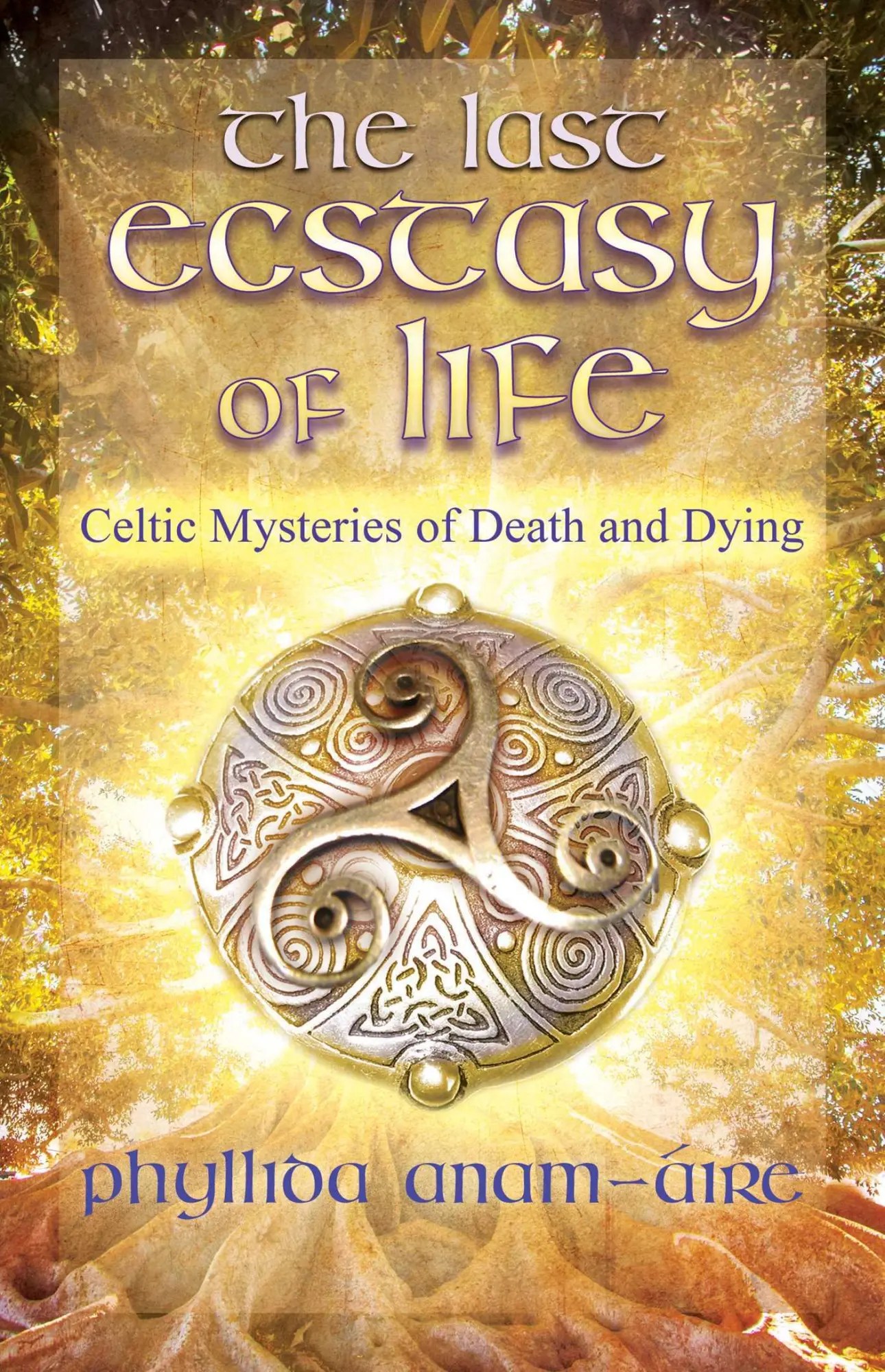 Cover: 9781644112656 | The Last Ecstasy of Life | Celtic Mysteries of Death and Dying | Buch