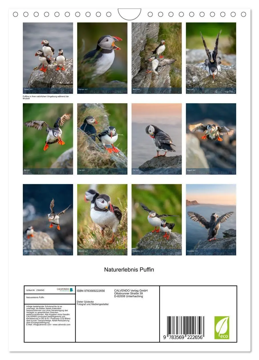 Bild: 9783569222656 | Naturerlebnis Puffin (Wandkalender 2027 DIN A4 hoch), CALVENDO...