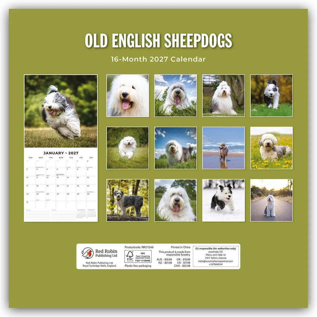 Rückseite: 9781837012756 | Old English Sheepdogs - Bobtail 2027 - 16-Monatskalender | Robin Red