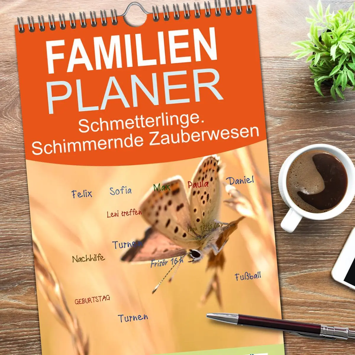 Bild: 9783457102756 | Familienplaner 2025 - Schmetterlinge. Schimmernde Zauberwesen mit 5...