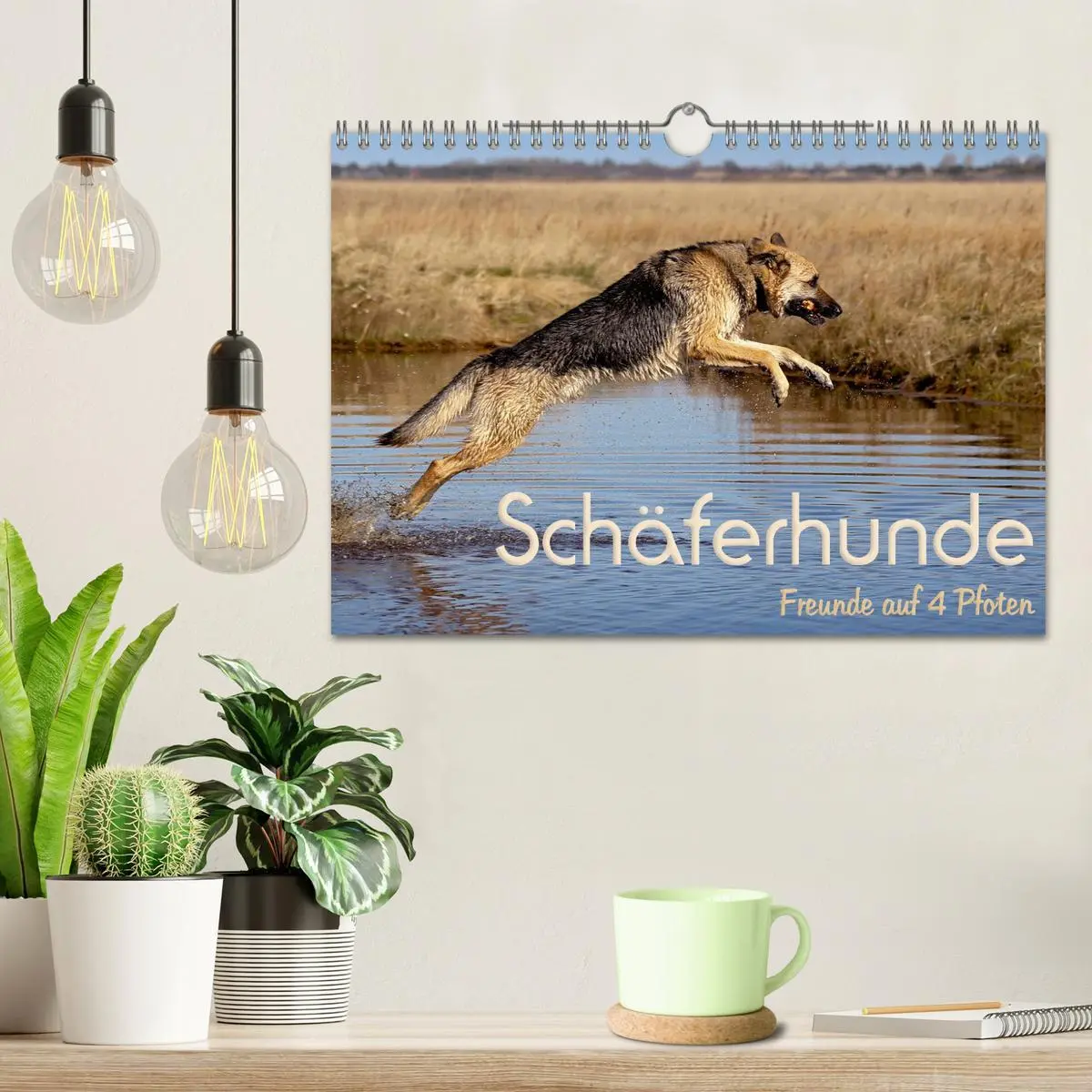 Bild: 9783457892756 | Schäferhunde - Freunde auf 4 Pfoten (Wandkalender 2026 DIN A4...