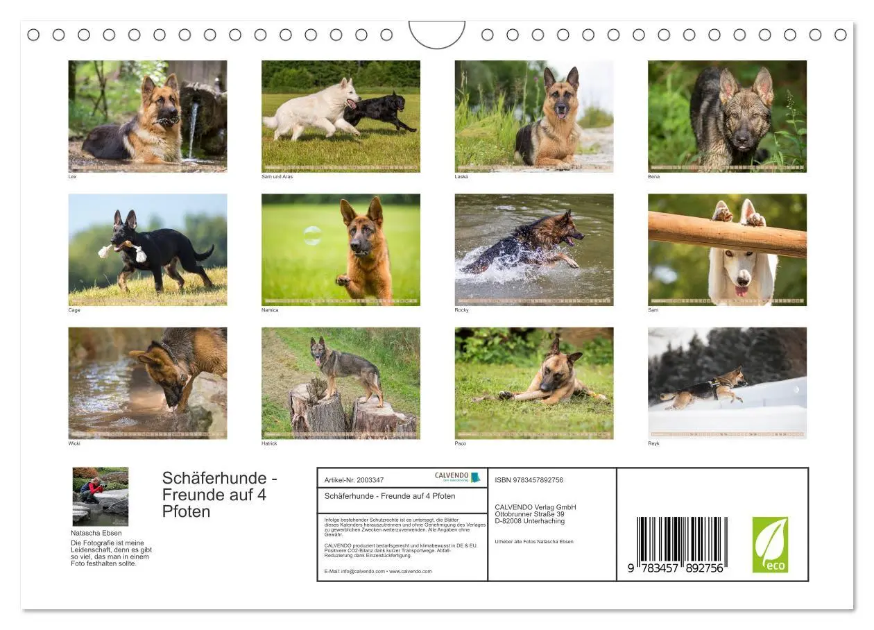 Bild: 9783457892756 | Schäferhunde - Freunde auf 4 Pfoten (Wandkalender 2026 DIN A4...