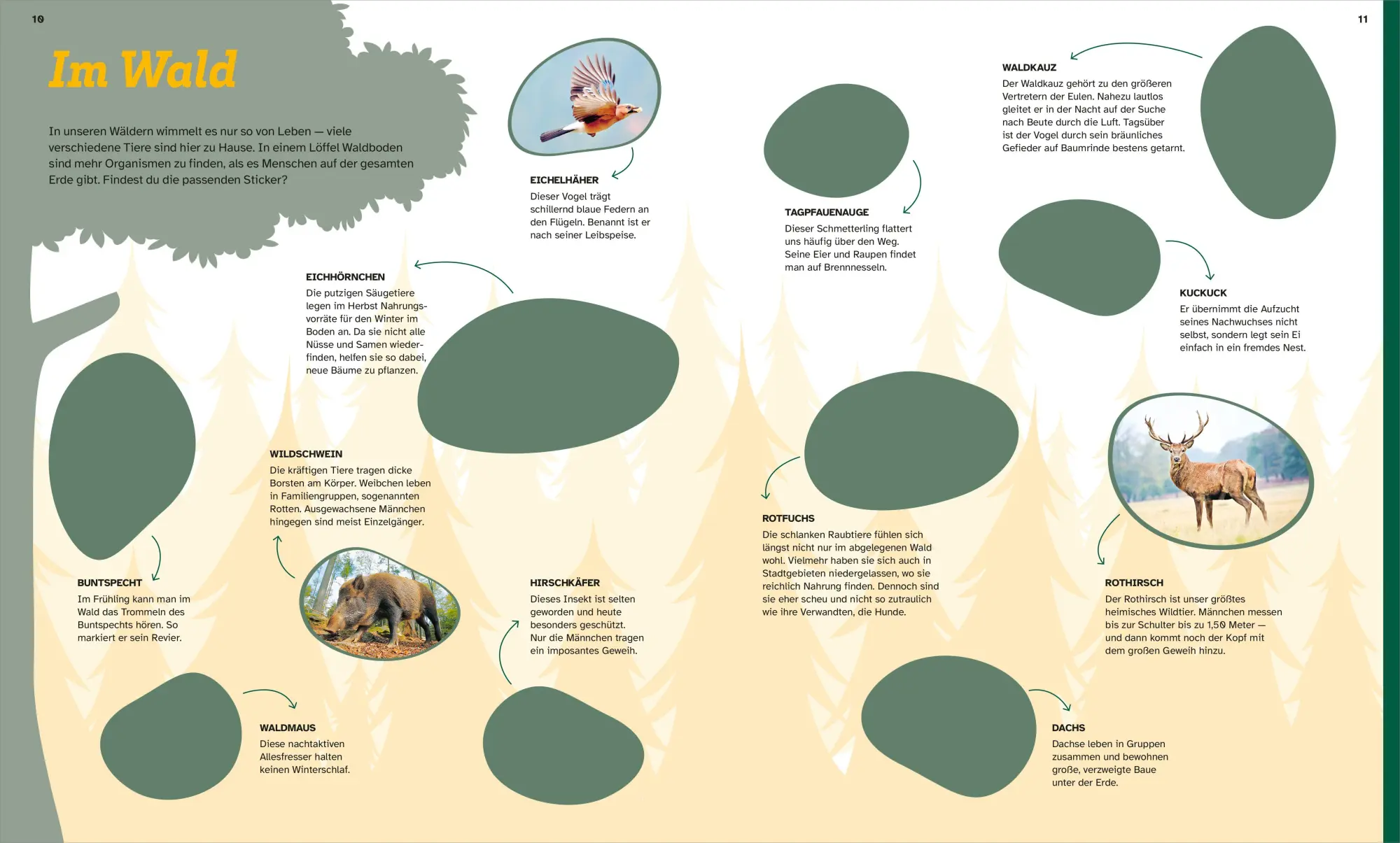 Bild: 9783788622756 | WAS IST WAS Rätseln und Stickern: Tiere | KG | Broschüre | 24 S.