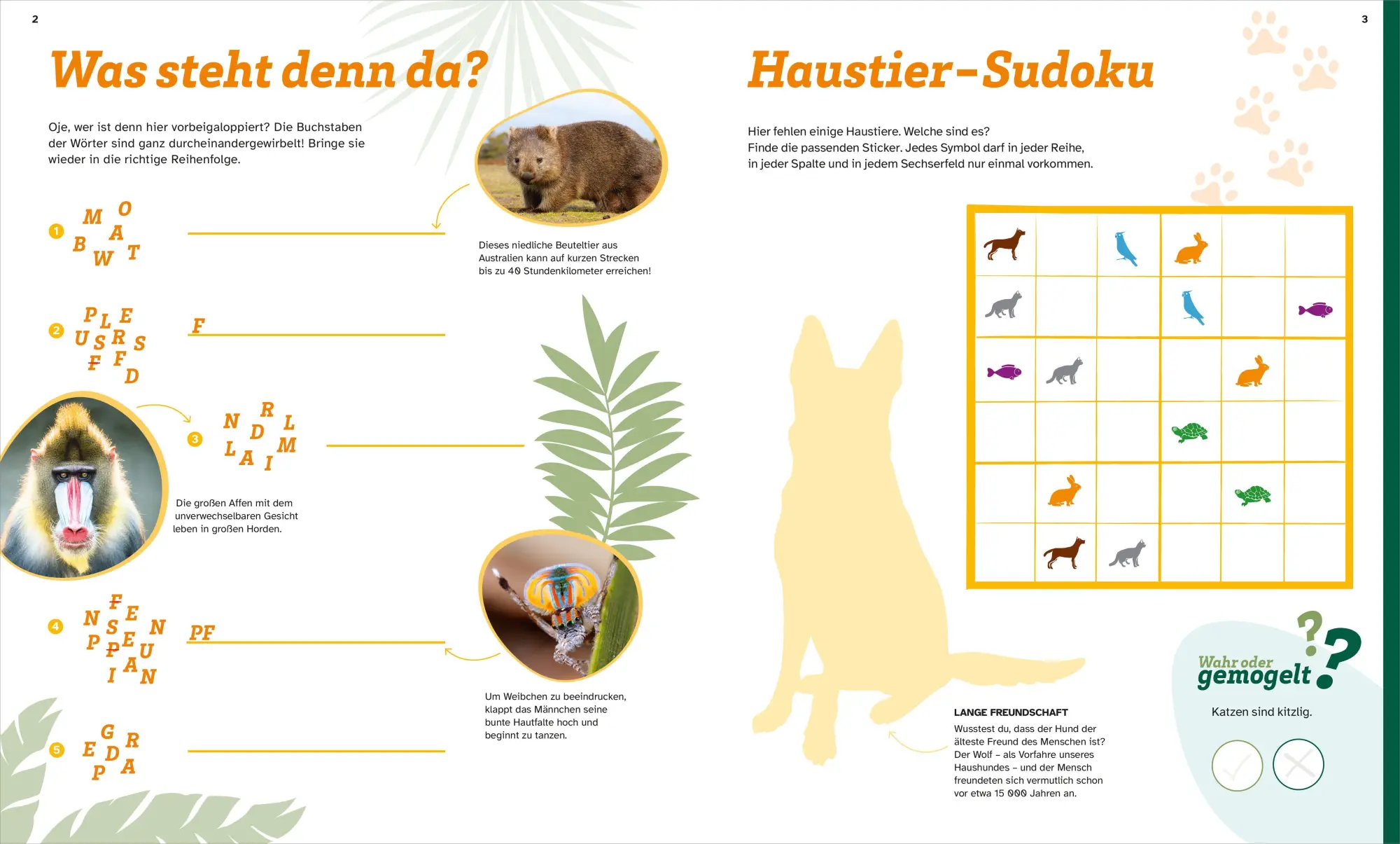 Bild: 9783788622756 | WAS IST WAS Rätseln und Stickern: Tiere | KG | Broschüre | 24 S.