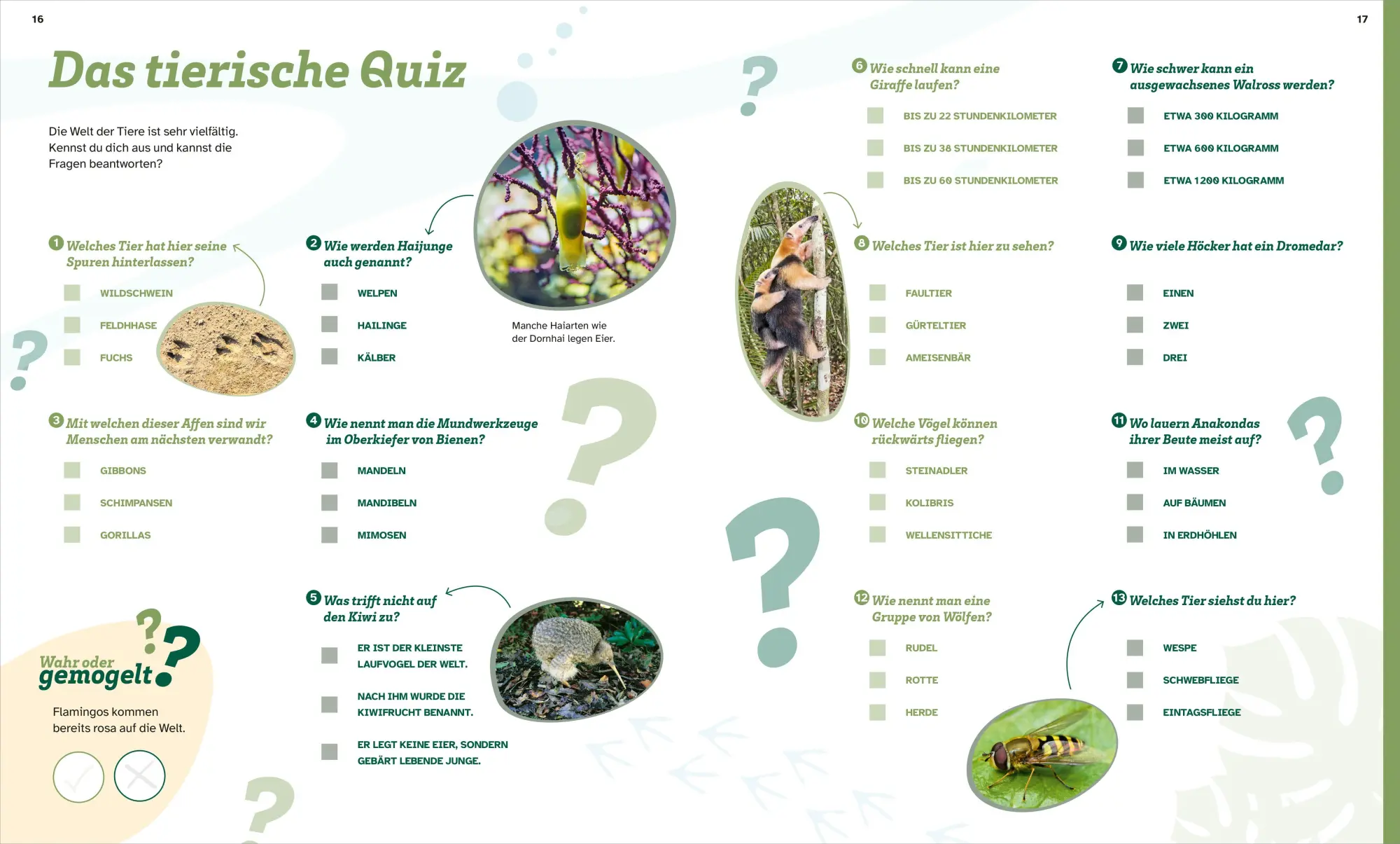 Bild: 9783788622756 | WAS IST WAS Rätseln und Stickern: Tiere | KG | Broschüre | 24 S.