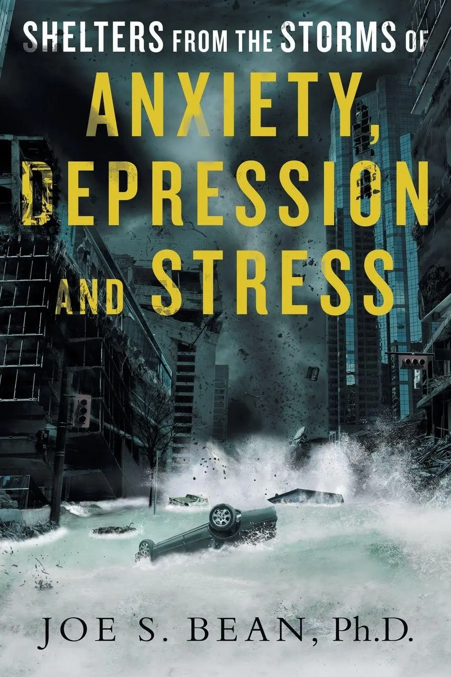 Cover: 9781982232856 | Shelters from the Storms of Anxiety, Depression and Stress | Bean