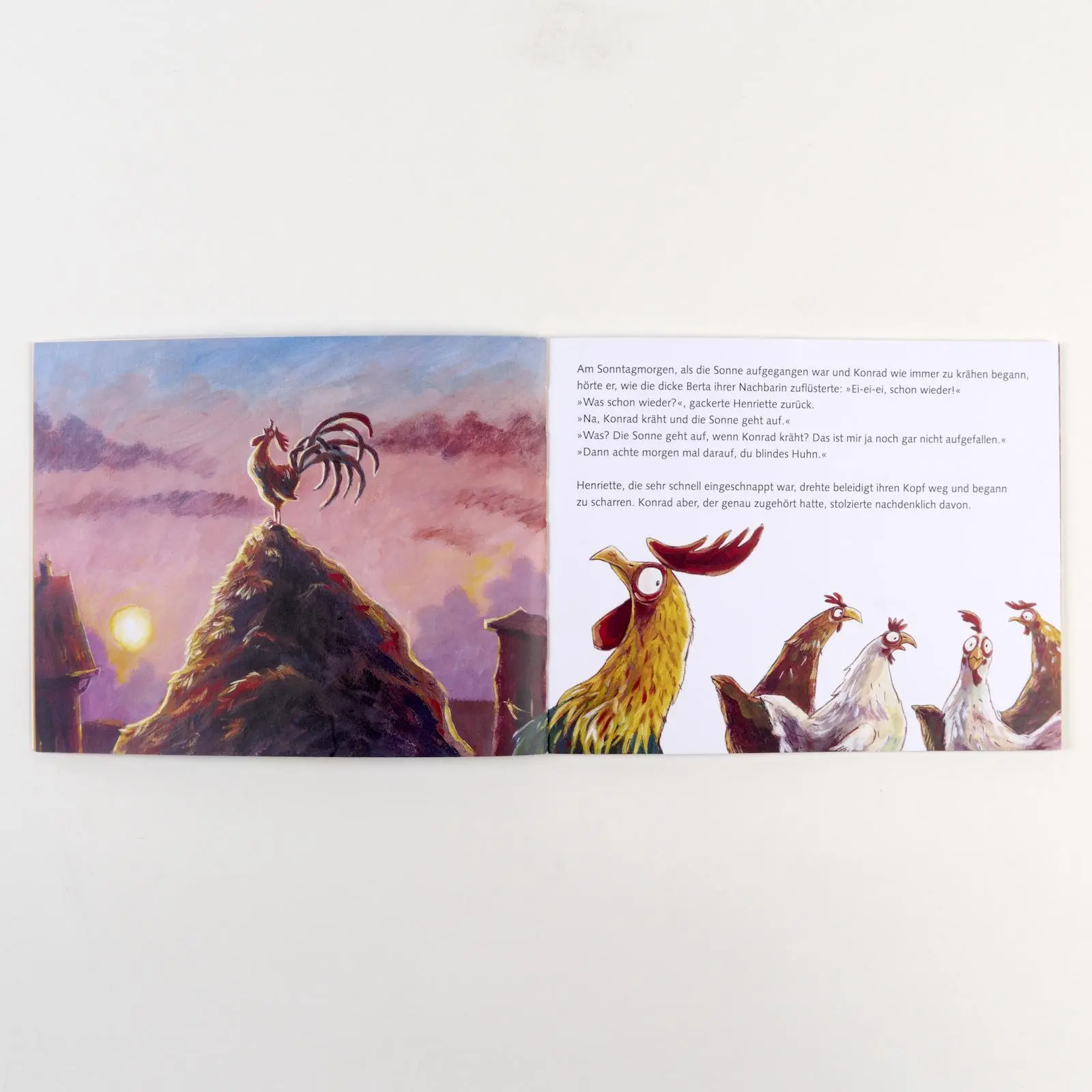 Bild: 9783407762856 | Der Sonnenkönig | Vierfarbiges Bilderbuch | Werner Holzwarth (u. a.)