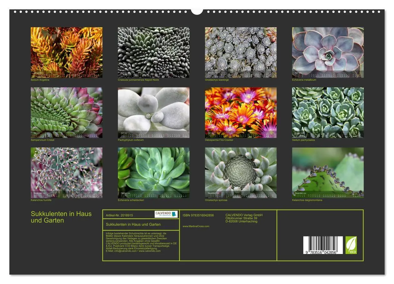 Bild: 9783516042856 | Sukkulenten in Haus und Garten (hochwertiger Premium Wandkalender...