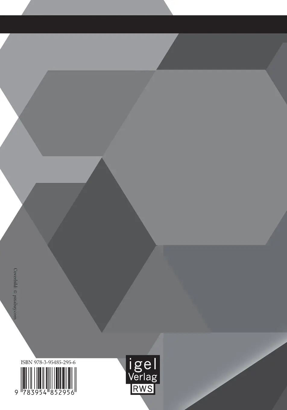Rückseite: 9783954852956 | Das Diversity Management in Deutschland | Ulrike Ditzel | Taschenbuch