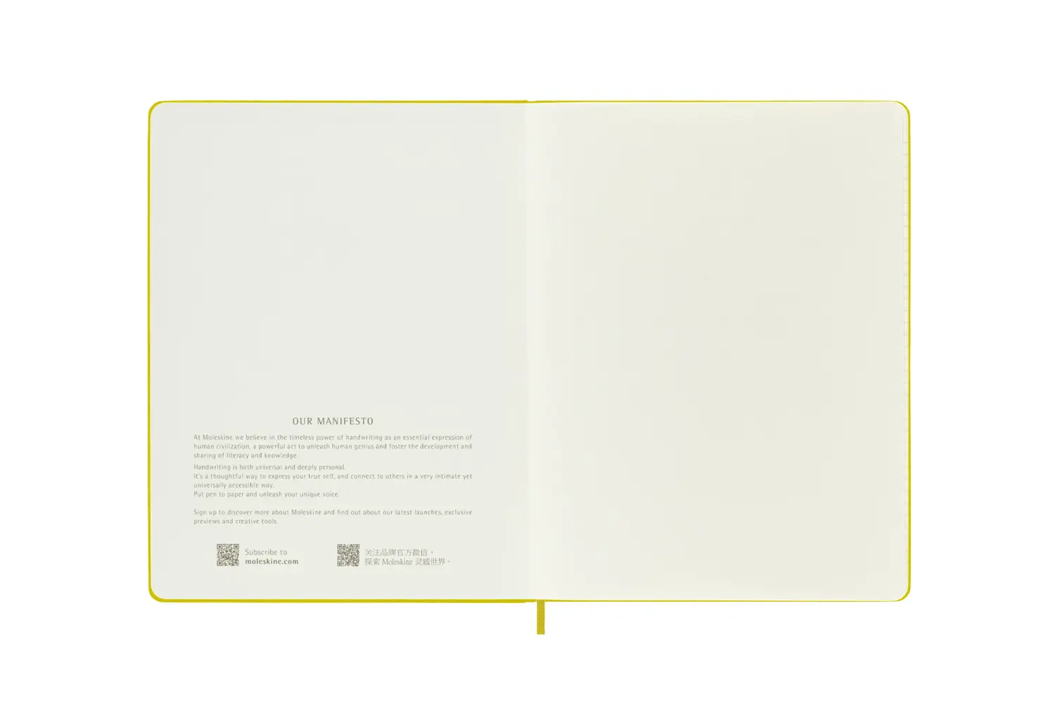 Bild: 8056598853056 | Moleskine Notizbuch - Color, XL, Liniert, Stoffeinband, Strohgelb