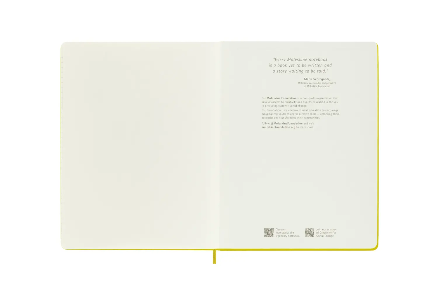 Bild: 8056598853056 | Moleskine Notizbuch - Color, XL, Liniert, Stoffeinband, Strohgelb