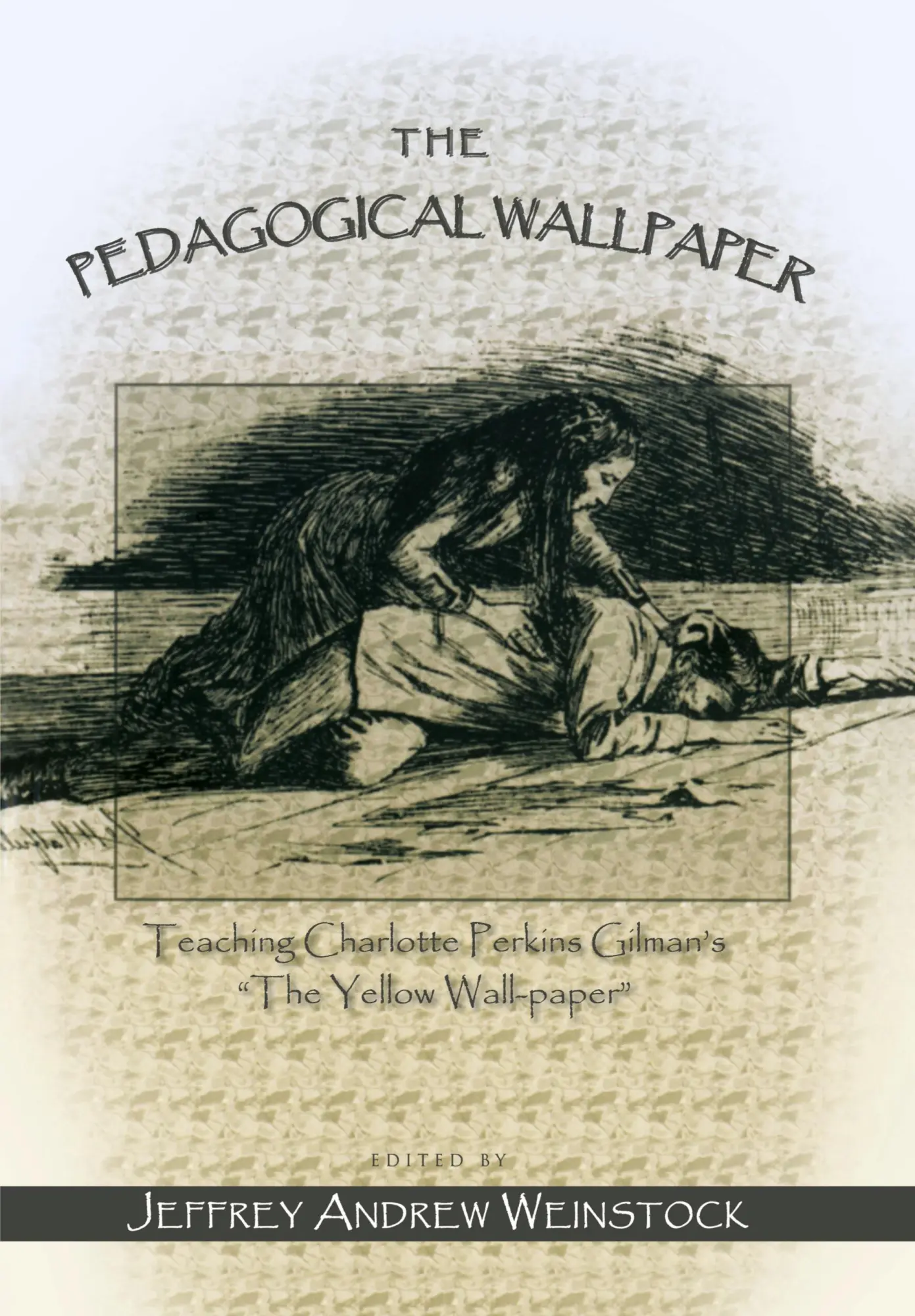 Cover: 9780820463056 | The Pedagogical Wallpaper | Jeffrey Andrew Weinstock | Taschenbuch