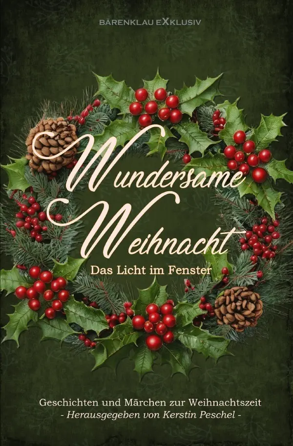 Cover: 9783565123056 | Wundersame Weihnacht - Das Licht im Fenster: Geschichten und...