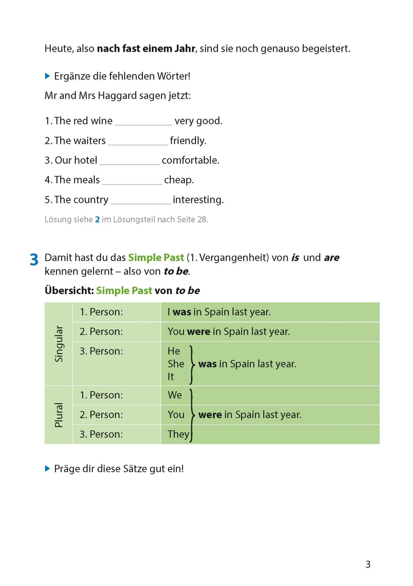 Bild: 9783881003056 | Englisch. Simple Past and Present Perfect | Ludwig Waas | Broschüre