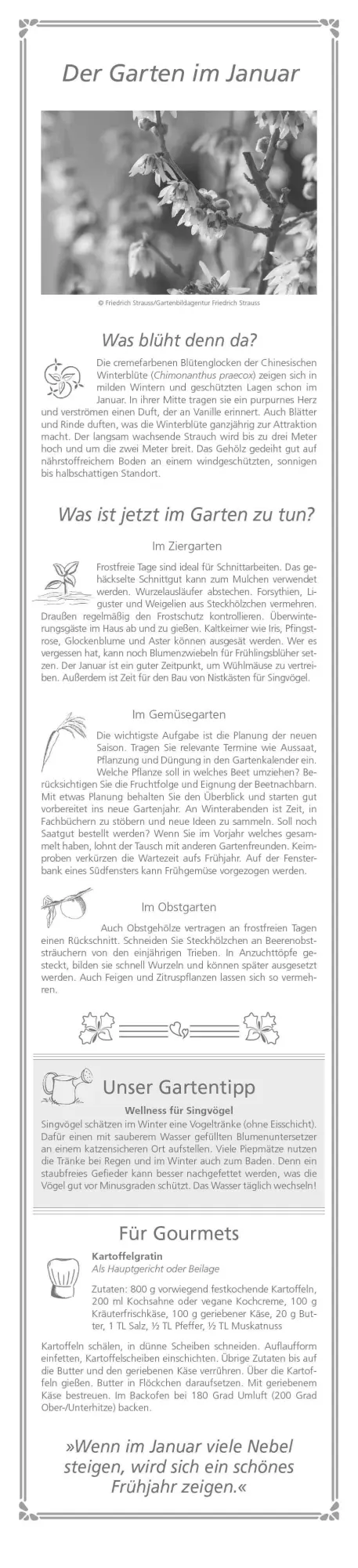 Bild: 4069095003156 | Paules Gartenplaner 2026 - Streifenplaner - Wandplaner -...
