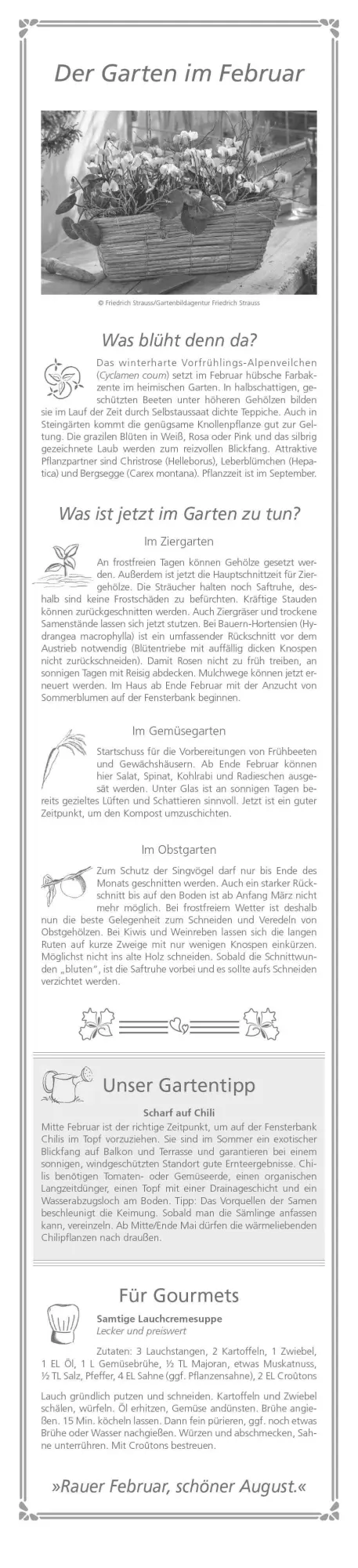 Bild: 4069095003156 | Paules Gartenplaner 2026 - Streifenplaner - Wandplaner -...
