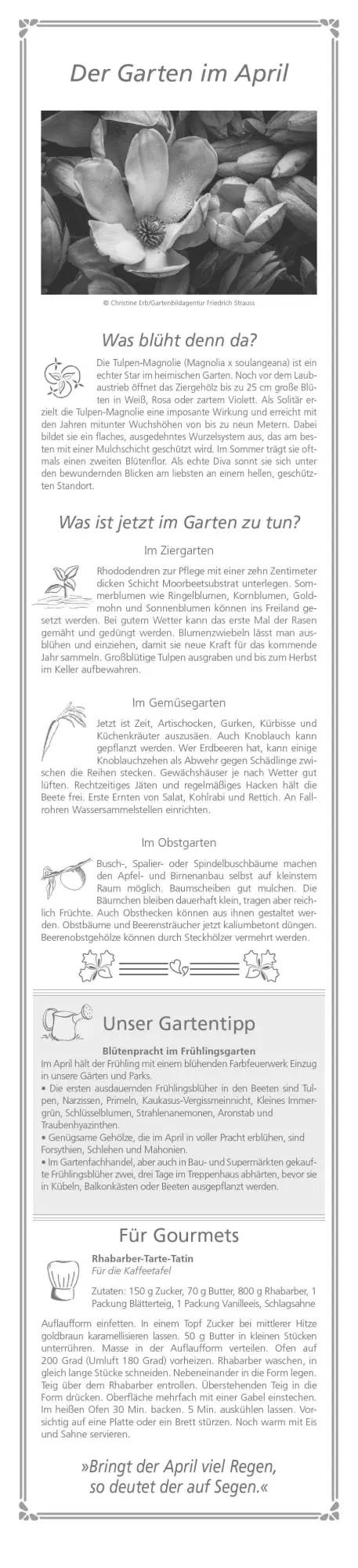 Bild: 4069095003156 | Paules Gartenplaner 2026 - Streifenplaner - Wandplaner -...