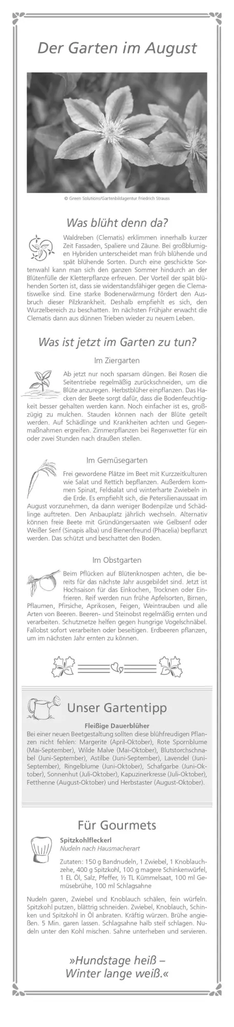 Bild: 4069095003156 | Paules Gartenplaner 2026 - Streifenplaner - Wandplaner -...