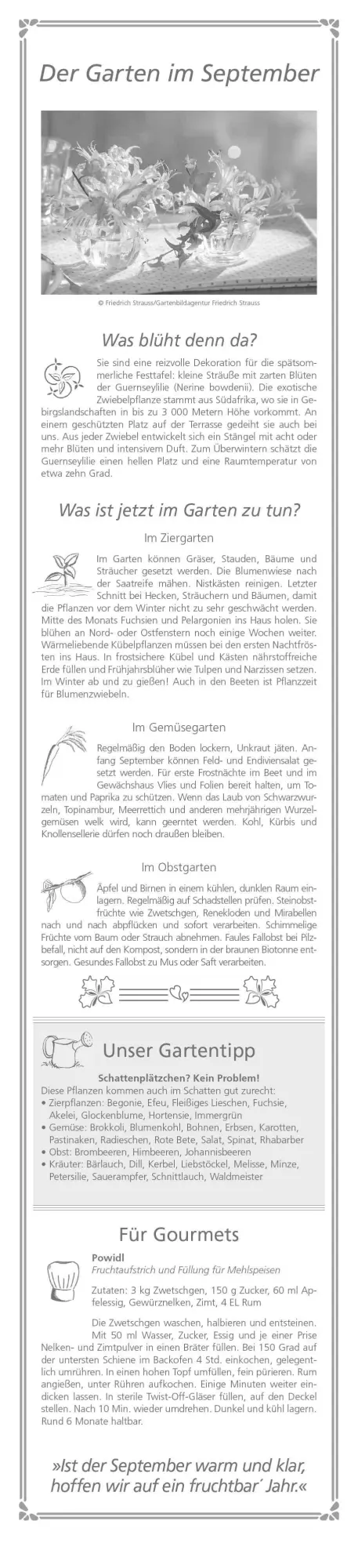 Bild: 4069095003156 | Paules Gartenplaner 2026 - Streifenplaner - Wandplaner -...