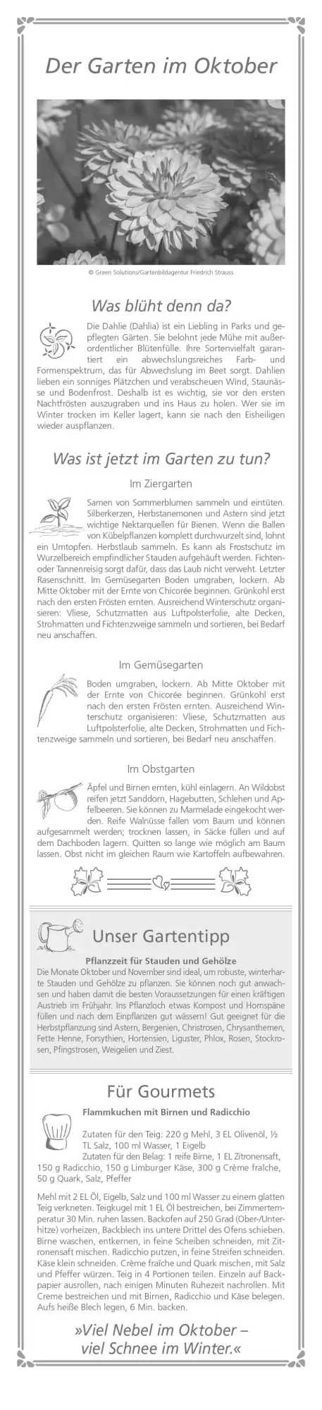 Bild: 4069095003156 | Paules Gartenplaner 2026 - Streifenplaner - Wandplaner -...