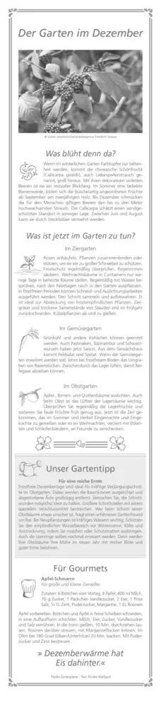 Bild: 4069095003156 | Alpha Edition - Paules Gartenplaner Kalender 2026 - 11x50 cm -...
