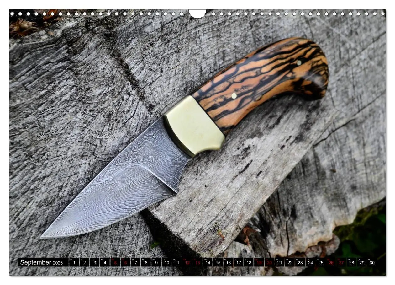 Bild: 9783457753156 | Damaszener - Messerscharf (Wandkalender 2026 DIN A3 quer), CALVENDO...