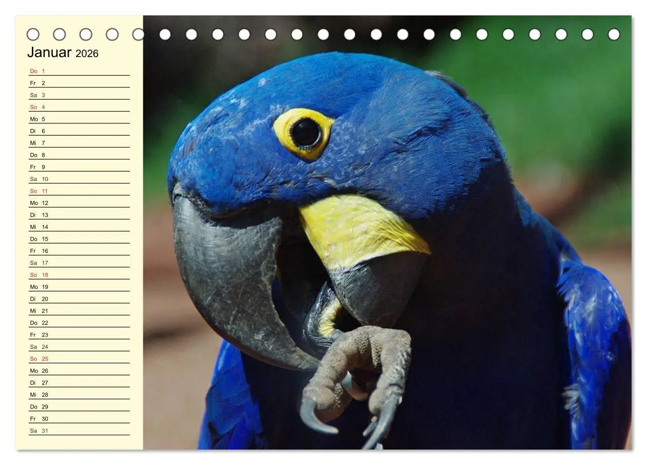 Bild: 9783457993156 | Brasilien. Faszinierend und groß wie ein Kontinent (Tischkalender...