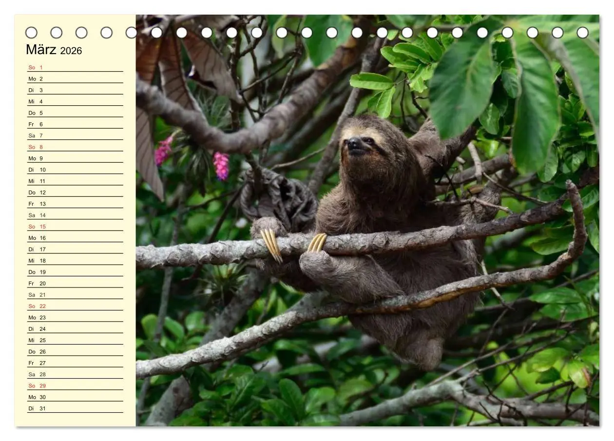 Bild: 9783457993156 | Brasilien. Faszinierend und groß wie ein Kontinent (Tischkalender...