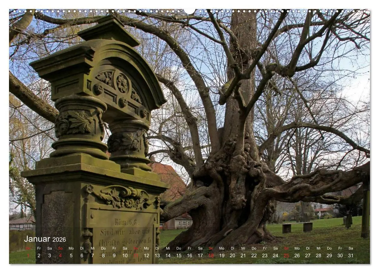 Bild: 9783516223156 | Blomberg in Lippe (Wandkalender 2026 DIN A2 quer), CALVENDO...