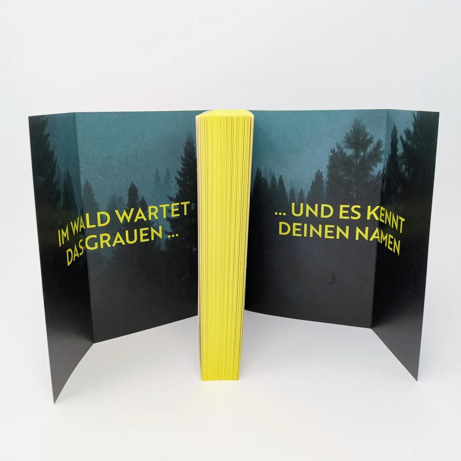 Bild: 9783548073156 | Blutwild | Saskia te Marveld | Taschenbuch | 300 S. | Deutsch | 2026