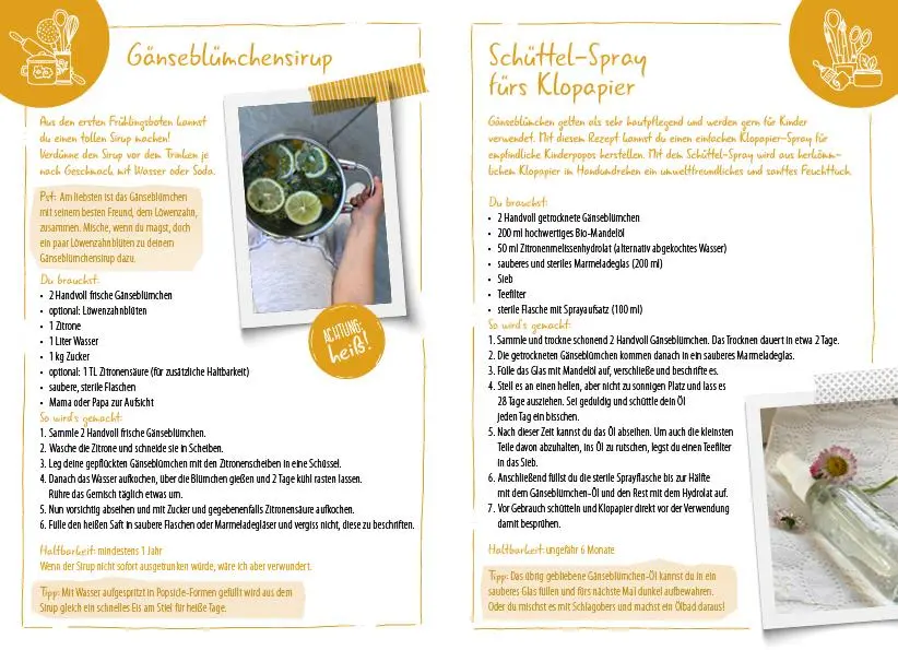 Bild: 9783710403156 | Meine wilden Kräuterfreunde | Anja Fischer | Taschenbuch | 104 S.